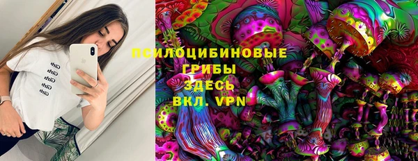 apvp Вязники